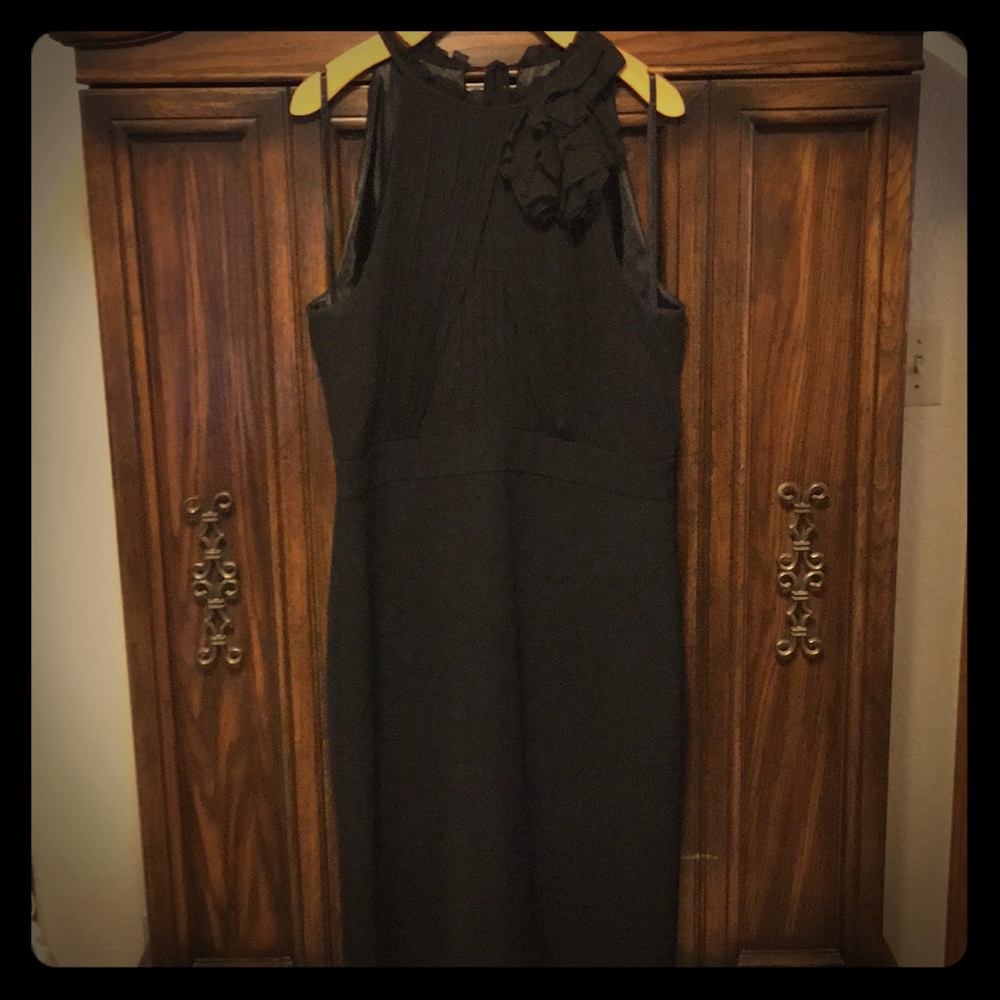 Ann Taylor Dress